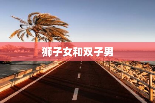 狮子女和双子男