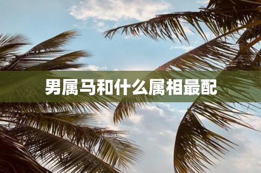 男属马和什么属相最配