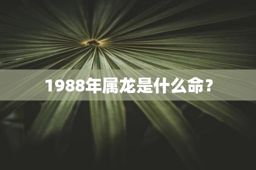 1988年属龙是什么命？