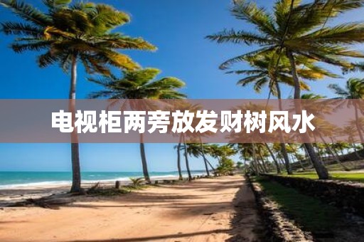 电视柜两旁放发财树风水