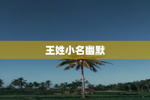 王姓小名幽默
