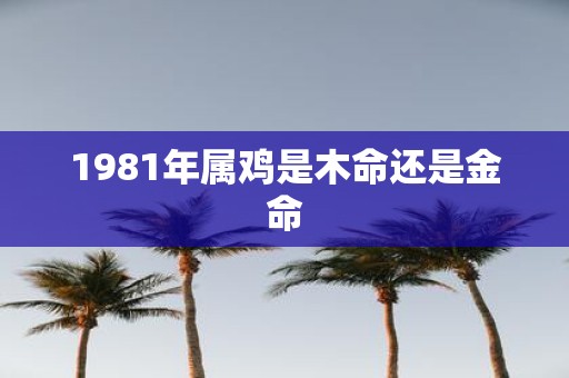 1981年属鸡是木命还是金命