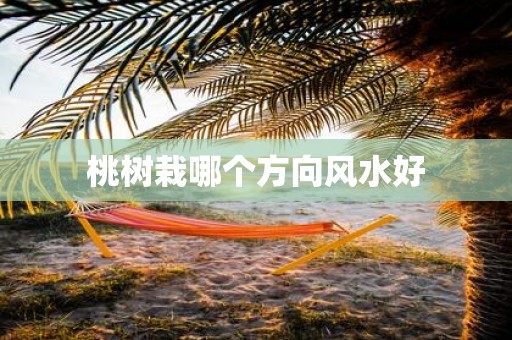 桃树栽哪个方向风水好