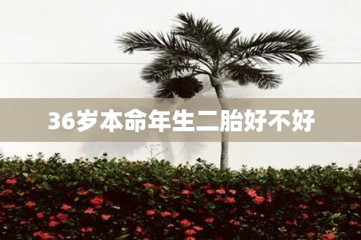 36岁本命年生二胎好不好