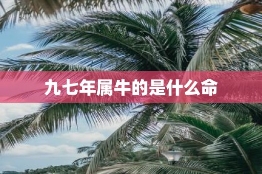 九七年属牛的是什么命