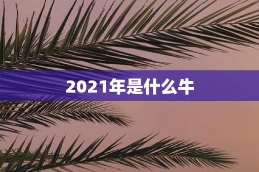 2021年是什么牛