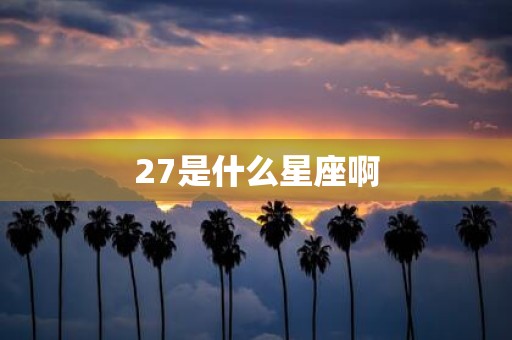 27是什么星座啊
