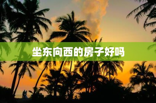 坐东向西的房子好吗