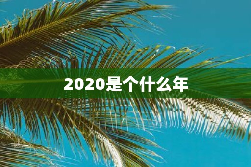 2020是个什么年