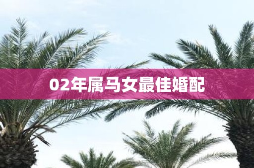 02年属马女最佳婚配