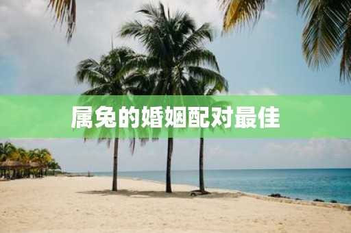 属兔的婚姻配对最佳
