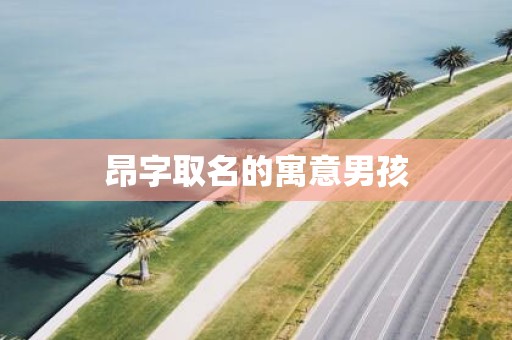 昂字取名的寓意男孩