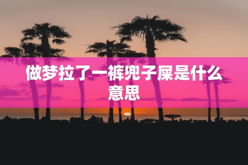 做梦拉了一裤兜子屎是什么意思