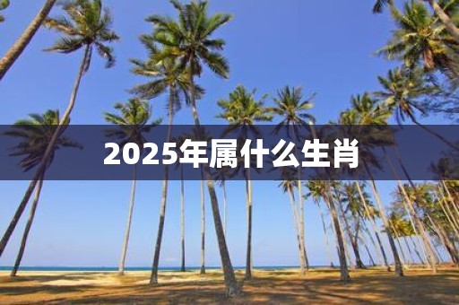 2025年属什么生肖