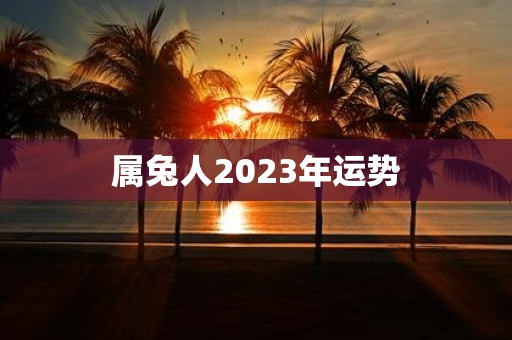 属兔人2025年运势