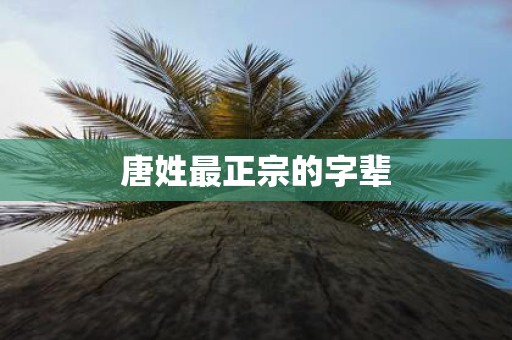 唐姓最正宗的字辈