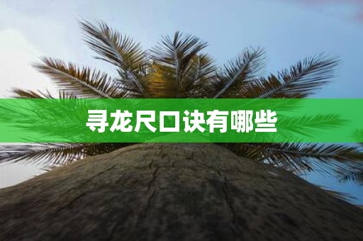 寻龙尺口诀有哪些