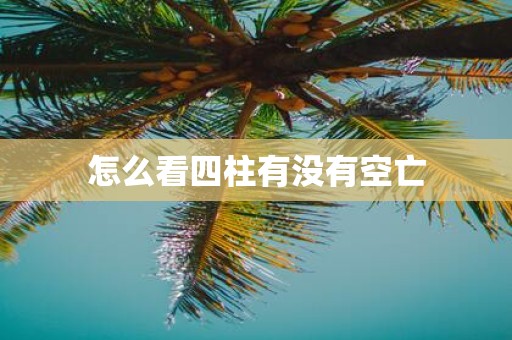 怎么看四柱有没有空亡