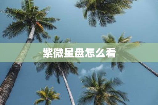 紫微星盘怎么看