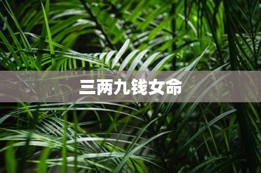 三两九钱女命
