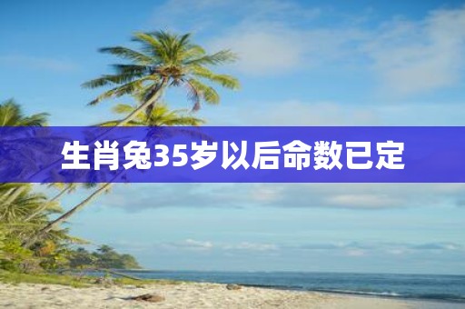 生肖兔35岁以后命数已定