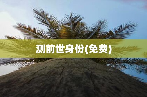 测前世身份(免费)