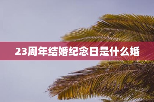 23周年结婚纪念日是什么婚