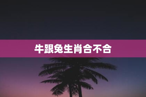 牛跟兔生肖合不合