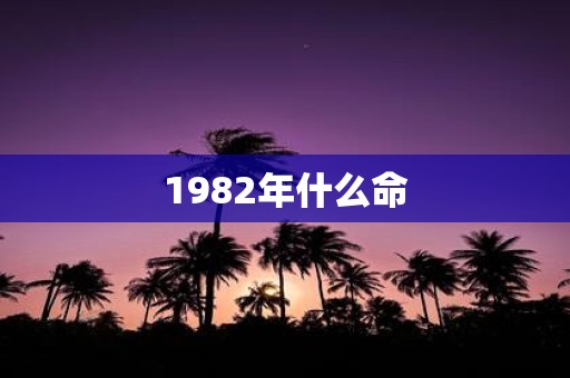 1982年什么命