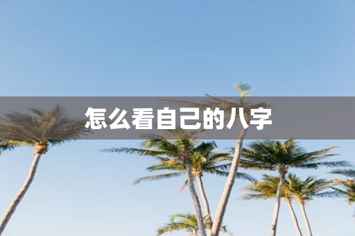 怎么看自己的八字