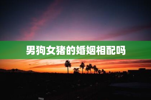 男狗女猪的婚姻相配吗