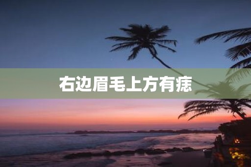 右边眉毛上方有痣