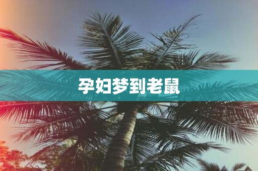 孕妇梦到老鼠