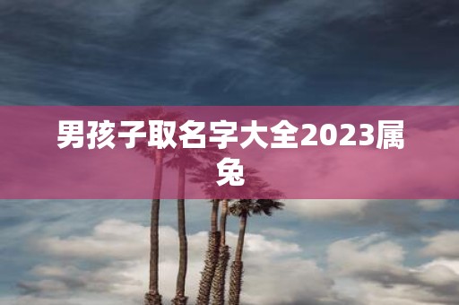 男孩子取名字大全2025属兔