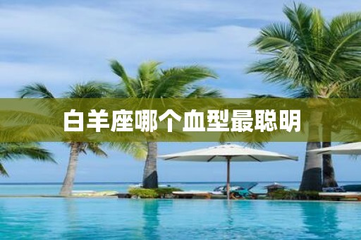 白羊座哪个血型最聪明