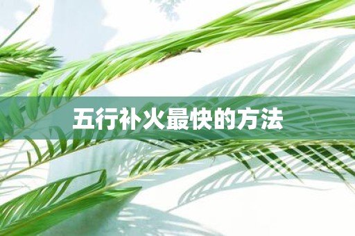 五行补火最快的方法