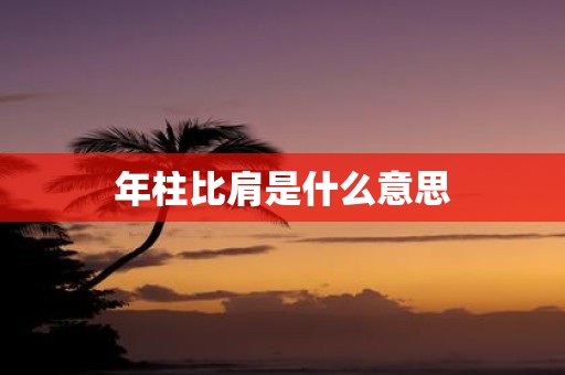 年柱比肩是什么意思