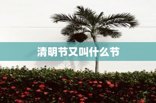 清明节又叫什么节