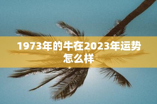 1973年的牛在2025年运势怎么样