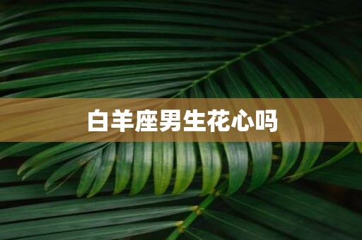 白羊座男生花心吗