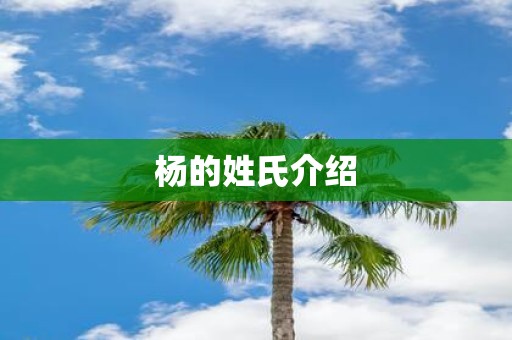 杨的姓氏介绍