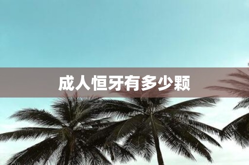 成人恒牙有多少颗