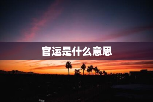 官运是什么意思