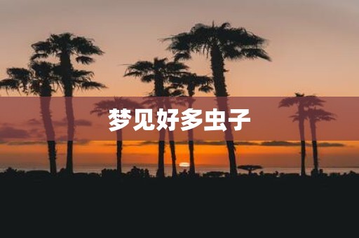 梦见好多虫子
