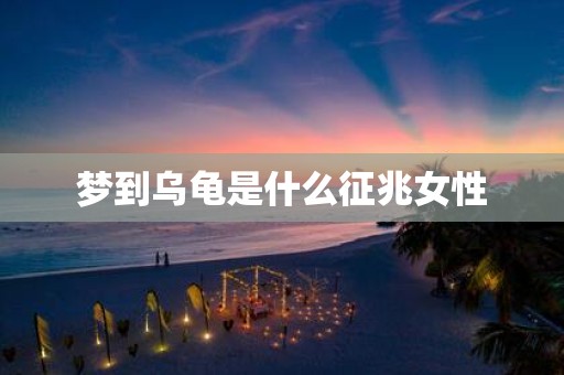 梦到乌龟是什么征兆女性