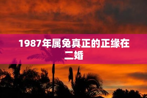 1987年属兔真正的正缘在二婚