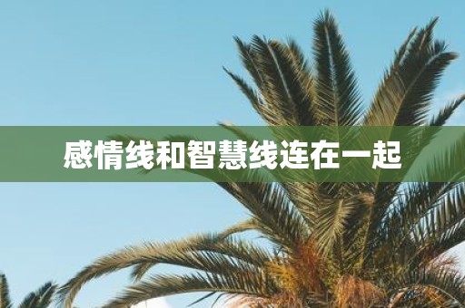 感情线和智慧线连在一起