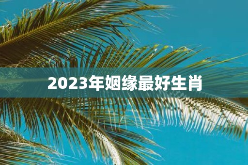 2025年姻缘最好生肖