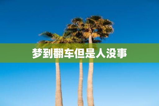 梦到翻车但是人没事