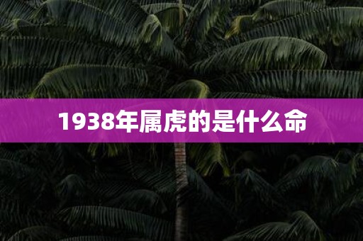 1938年属虎的是什么命
